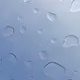 CNWPlayer