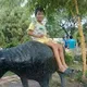 Phan Kien