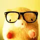Piggu