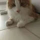 HerpDerp