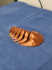 Articulated Trilobite