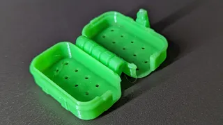 Toothbrush Travel Case print in place