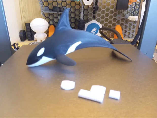 Orca by KN16 | Download free STL model | Printables.com