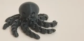 Cute Mini Octopus