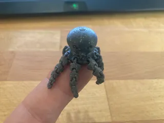 Cute Mini Octopus