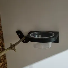 Asthalter / V Halter / Baumpython / Terrarium