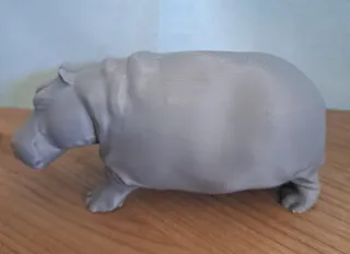 Hippopotamus