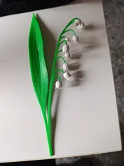 Lily of the valey Maiglöckchen Flower
