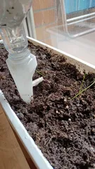 Adjustable Self Watering Spike