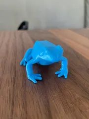Poison Dart Frog