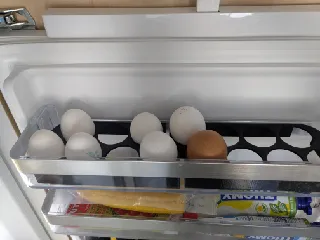 Electrolux or Gorenje fridge egg holder