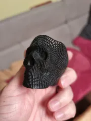 Skull Vase (Remeshed)