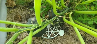 Garden Support Stands For Watermelon, Strawberry & Pumpkin