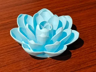 Bathtub Lotus