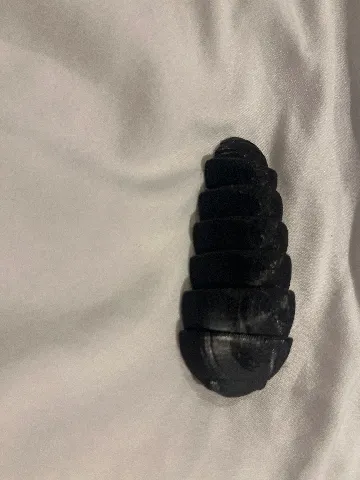 Articulated Isopod Fidget Toy by Desk_Drawer | Download free STL model ...