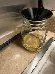 Fruit fly trap