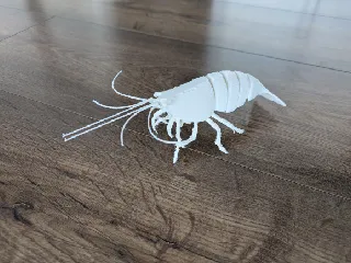 articulated shrimp