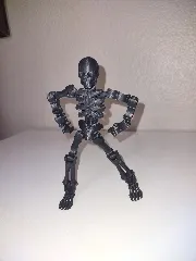 skeleton