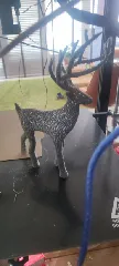 Voronoi Holiday Christmas Deer