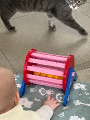Sensory Baby Wheel Toy