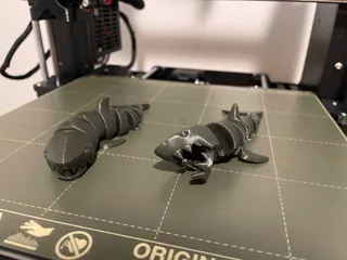 Articulated Shark