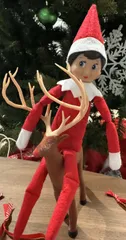 Holiday Christmas Deer