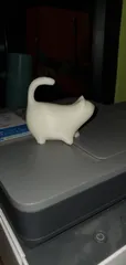 The Cat