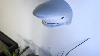 Great white shark 1:1 scale