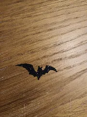 Bat key ring and earring
