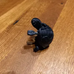 Cutie Baby Turtle