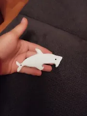 Bottle opener shark