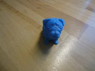 Josef Prusa's pug Buddy