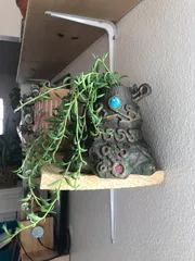 Decayed Guardian planter from Zelda BOTW