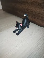 Stretching Cat