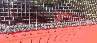 NUT COVER
