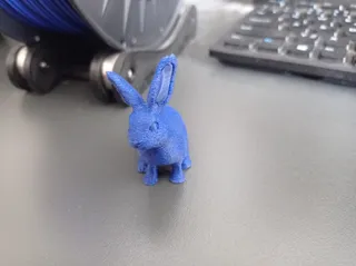 Hairy Bunny / Furry Bunny