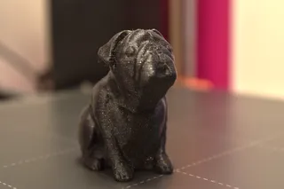 Josef Prusa's pug Buddy