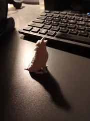 Howling Wolf
