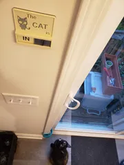Cat In/Out Board