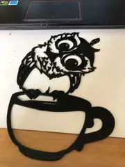 Curious Owlet