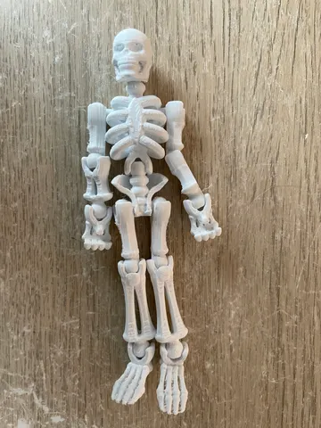 poseable skeleton by Jakub Bulacz | Download free STL model ...