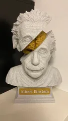 Insights into a Genius: Albert Einstein
