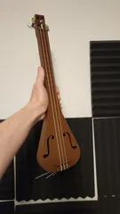 Triotune - A Playable 3 String ukulele-like instrument V4