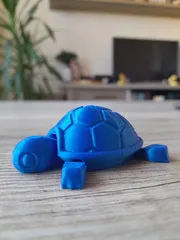 Cutie Baby Turtle