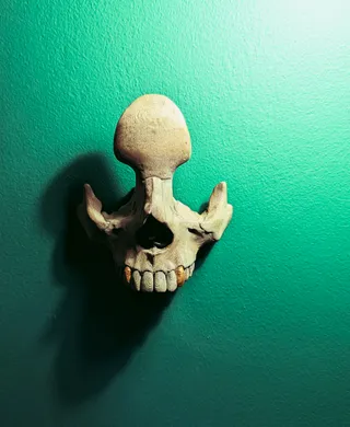 Skull holder for glasses / Cráneo soporte para gafas by Eleazar