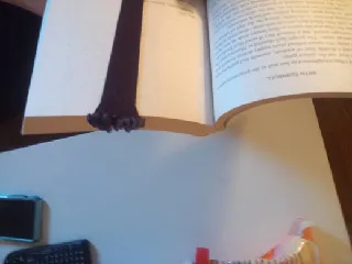 Claws Bookmark