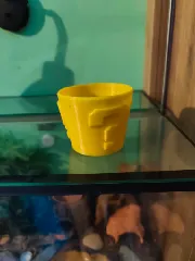 Super Mario Cactus pot