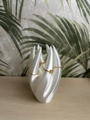 Ring holder