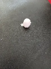 Cute Bird
