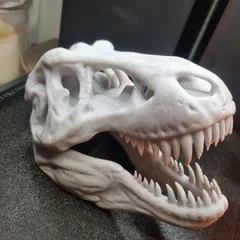 T-Rex Skull